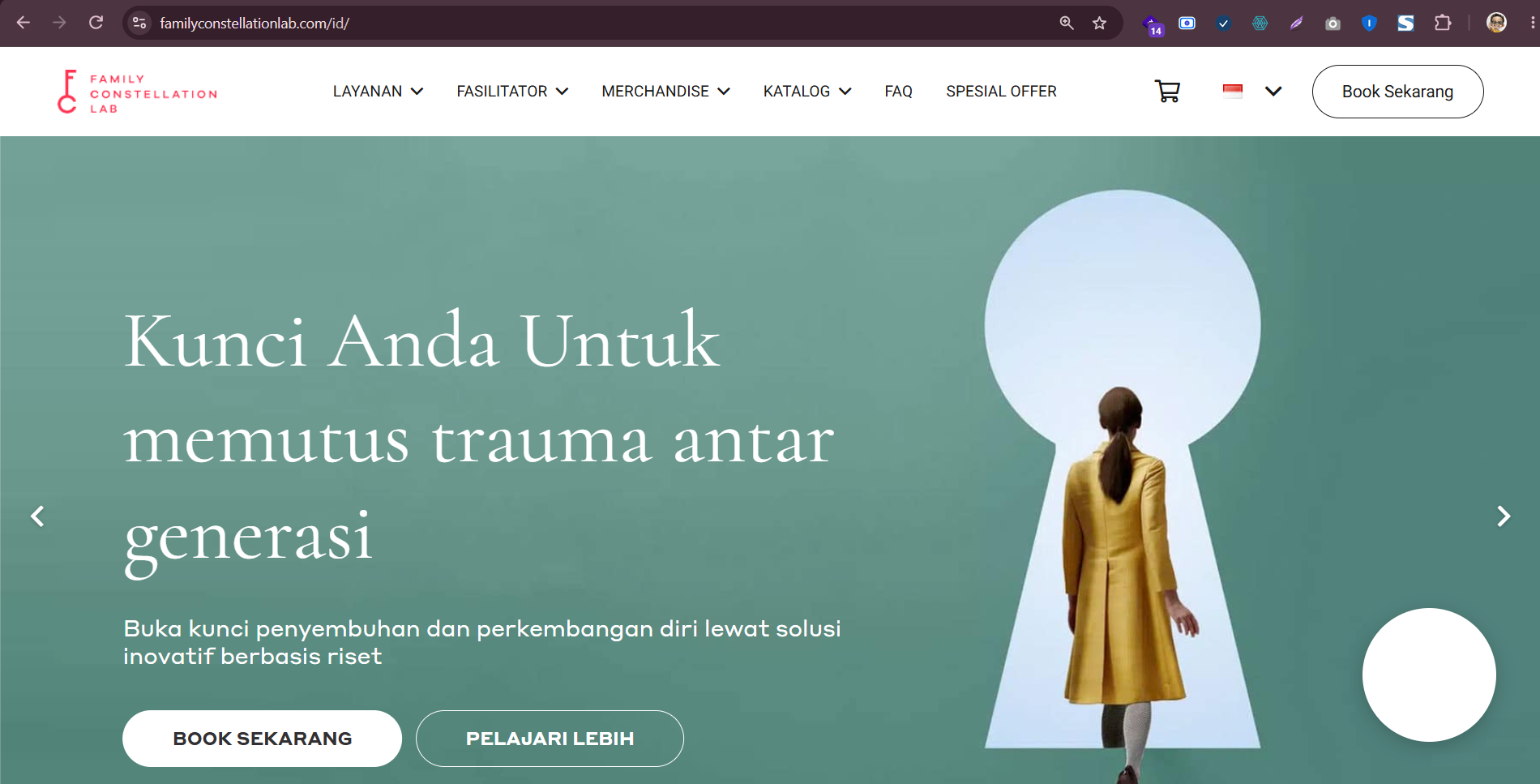 Cuplikan tampilan Family Constellation Lab